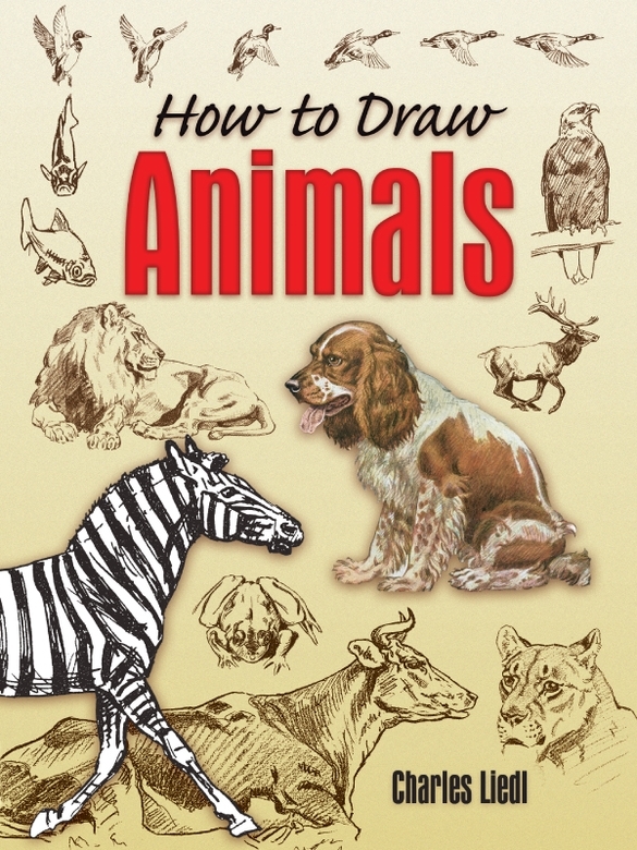 How To Draw Animals Charles Liedl