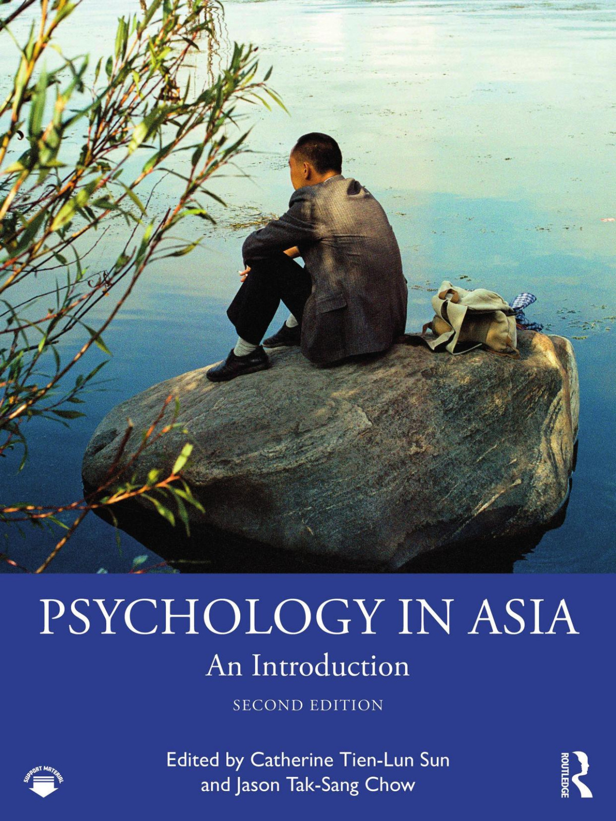 Psychology In Asia 2nd Edition Catherine Tienlun Sun Jason Taksang Chow