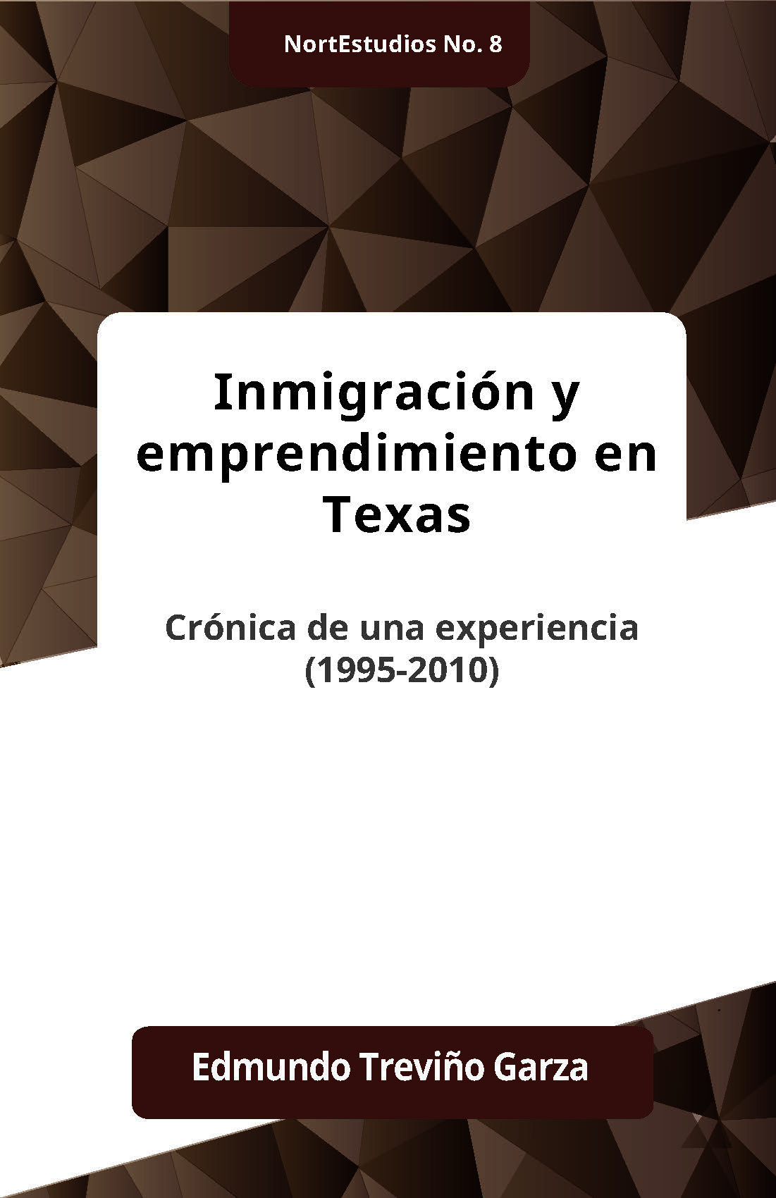 Inmigracin Y Emprendimiento En Texas Crnica De Una Experiencia 19952010 Edmundo Trevio Garza