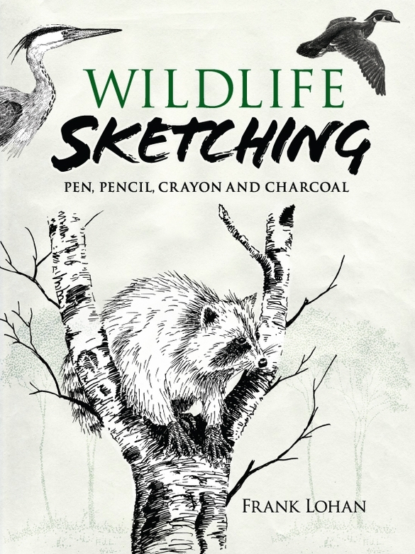 Wildlife Sketching Frank J Lohan