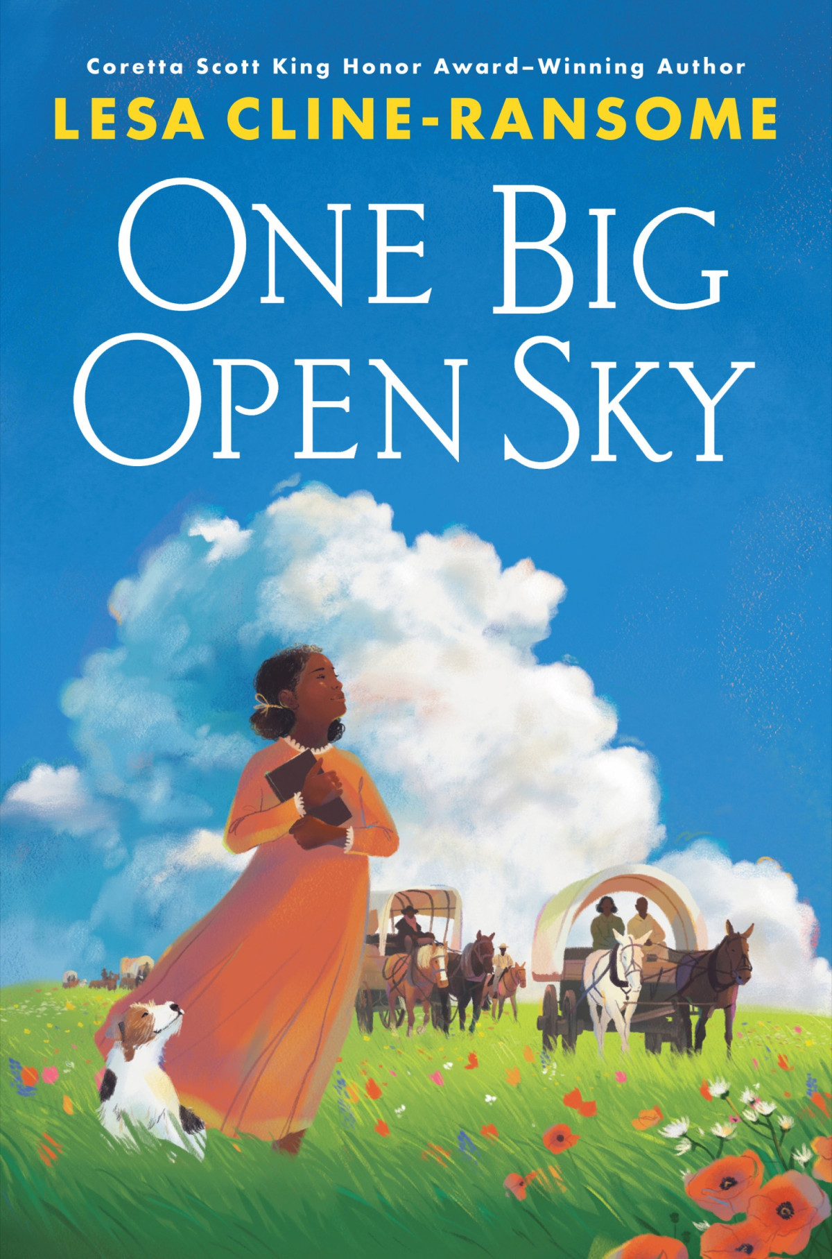 One Big Open Sky Lesa Clineransome
