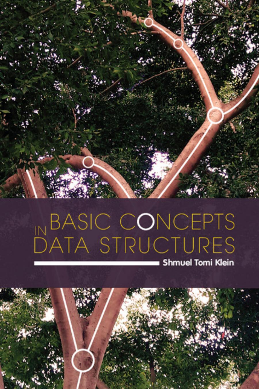 Basic Concepts In Data Structures Klein Shmuel Tomi