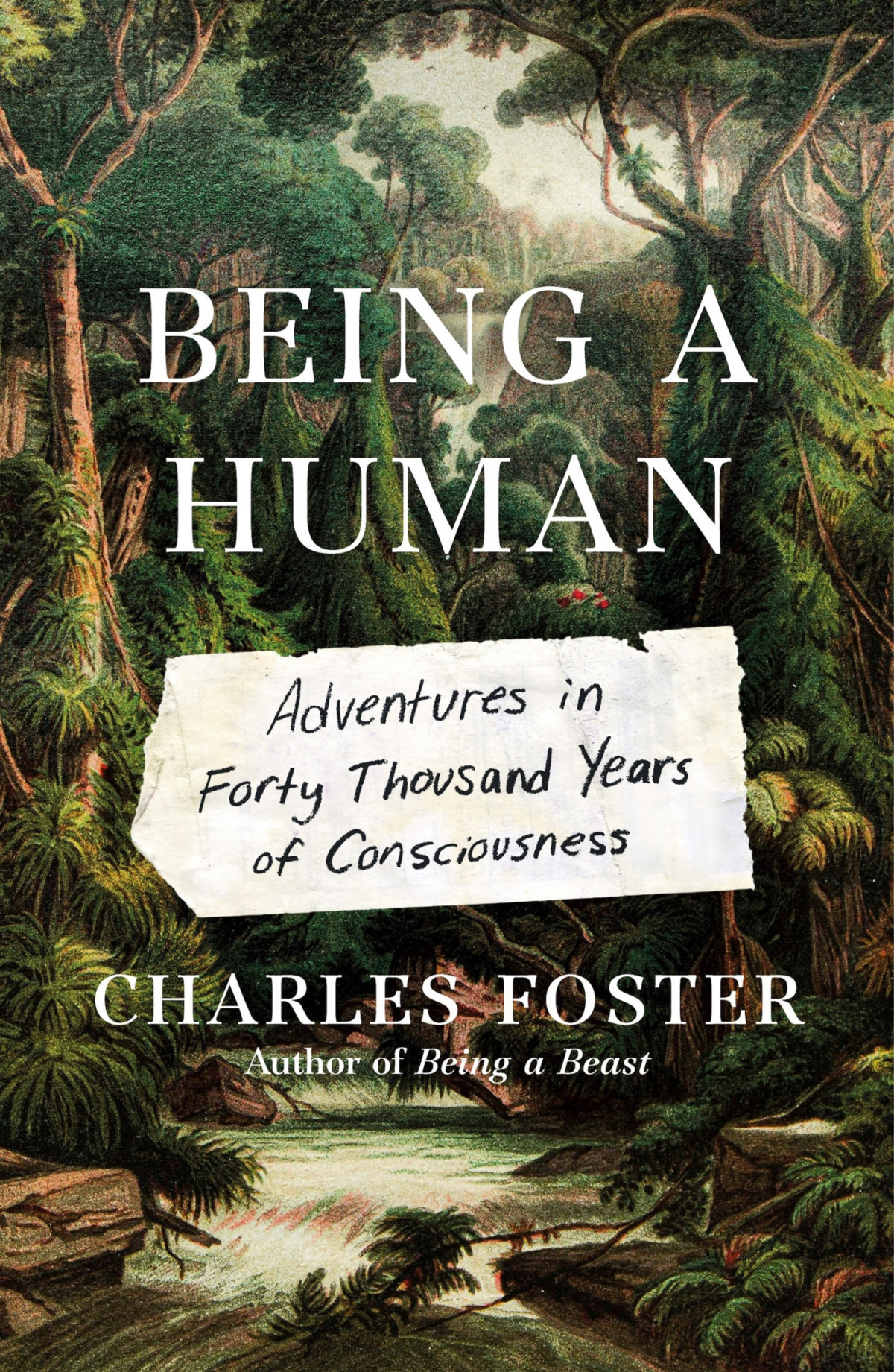 Being A Human Adventures In Forty Thousand Years Of Consciousness Charles Foster