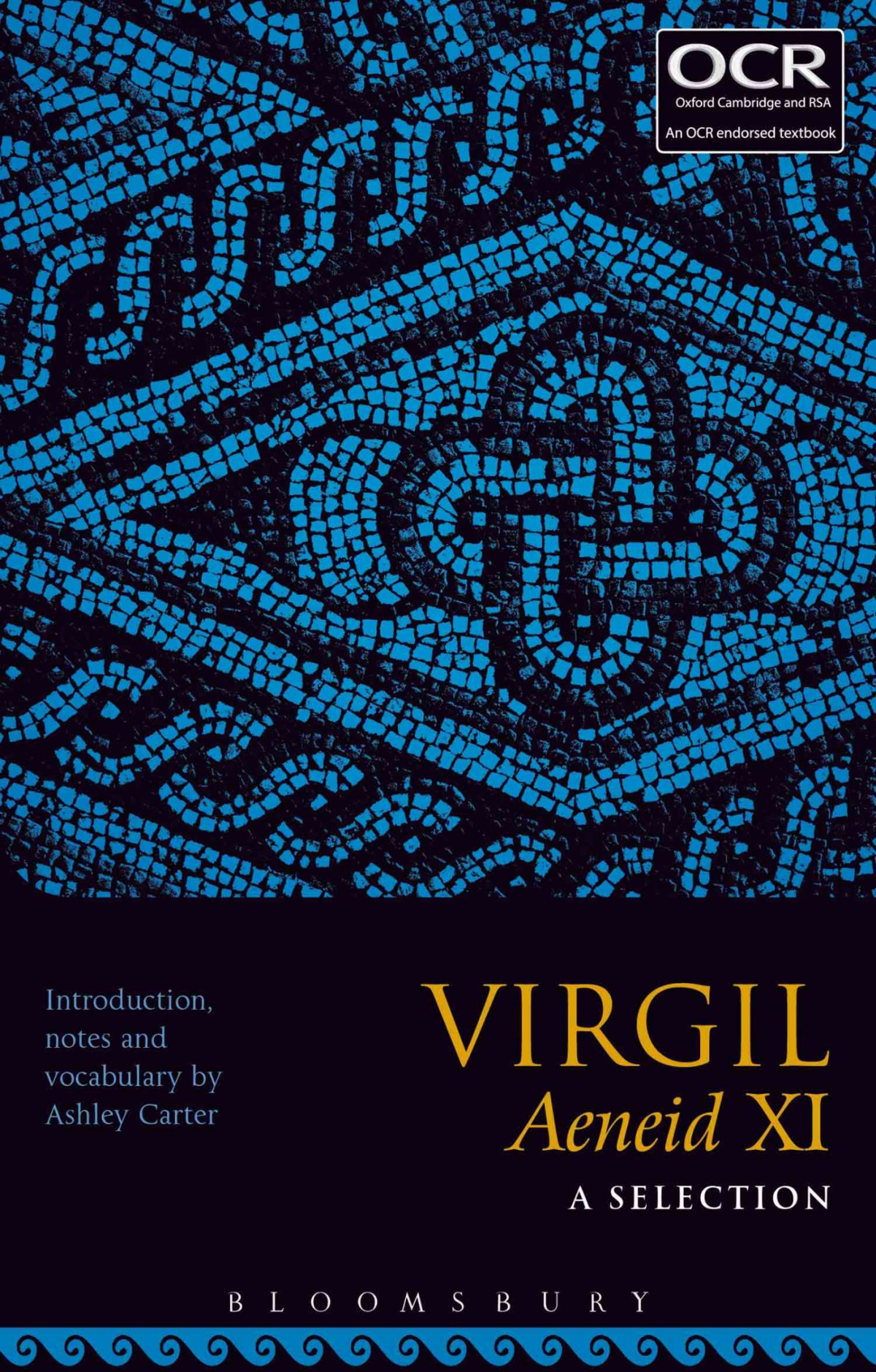 Virgil Aeneid Xi A Selection Ashley Carter