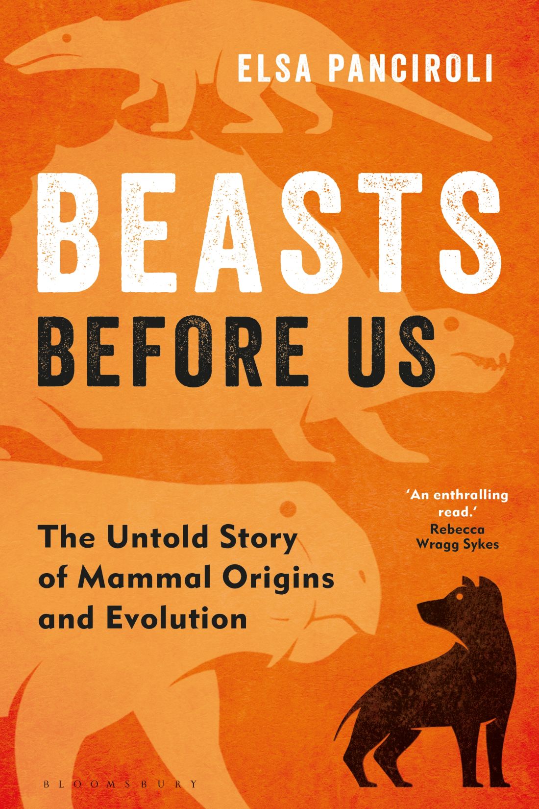 Beasts Before Us The Untold Story Of Mammal Origins And Evolution Elsa Panciroli
