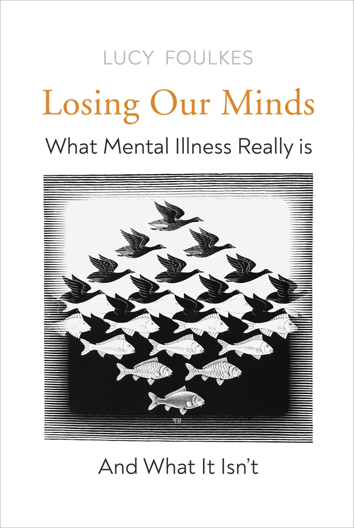 Losing Our Minds What Mental Illness Really Is And What It Isnt Lucy Foulkes