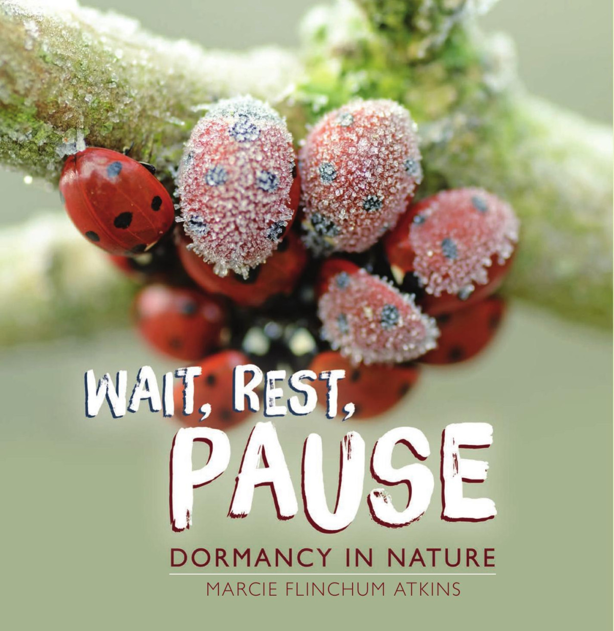 Wait Rest Pause Dormancy In Nature Marcie Flinchum Atkins