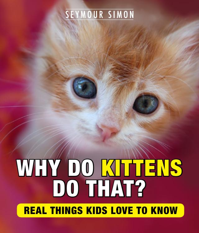 Why Do Kittens Do That Real Things Kids Love To Know Seymour Simon