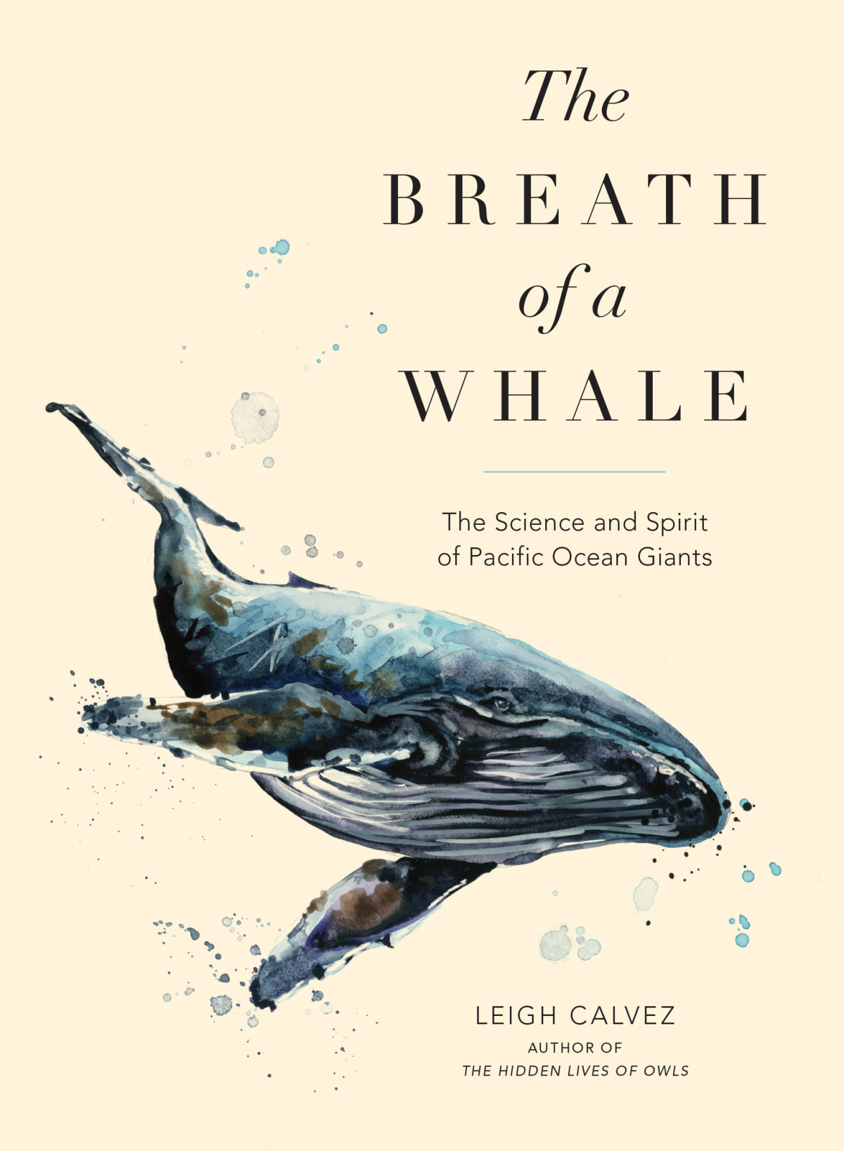 The Breath Of A Whale Fathoming The Giants Of The Pacific Ocean Leigh Calvez