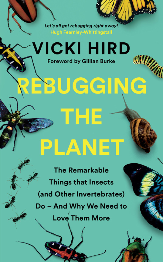 Rebugging The Planet The Remarkable Things That Insects And Other Invertebrates Do And Why We Need To Love Them More Vicki Hird