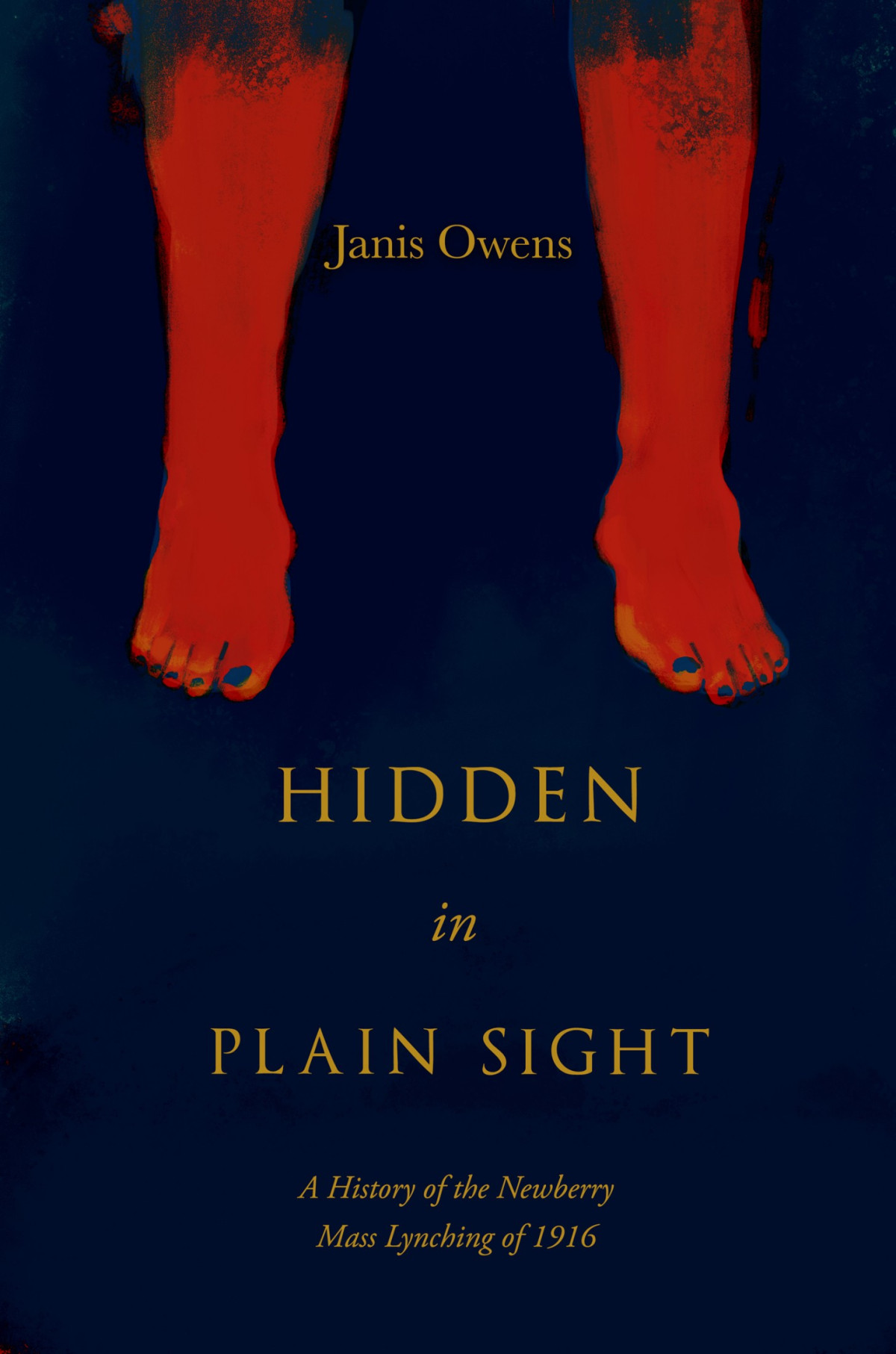 Hidden In Plain Sight A History Of The Newberry Mass Lynching Of 1916 Janis Owens