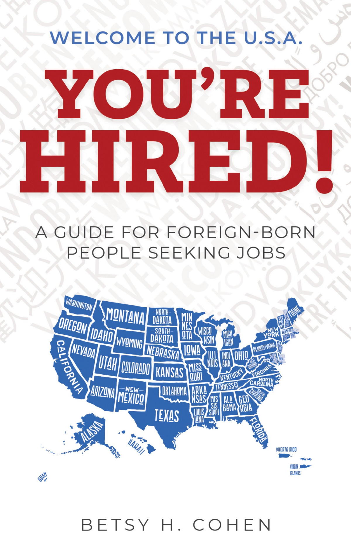 Welcome To The Usayoure Hired A Guide For Foreignborn People Seeking Jobs Betsy H Cohen