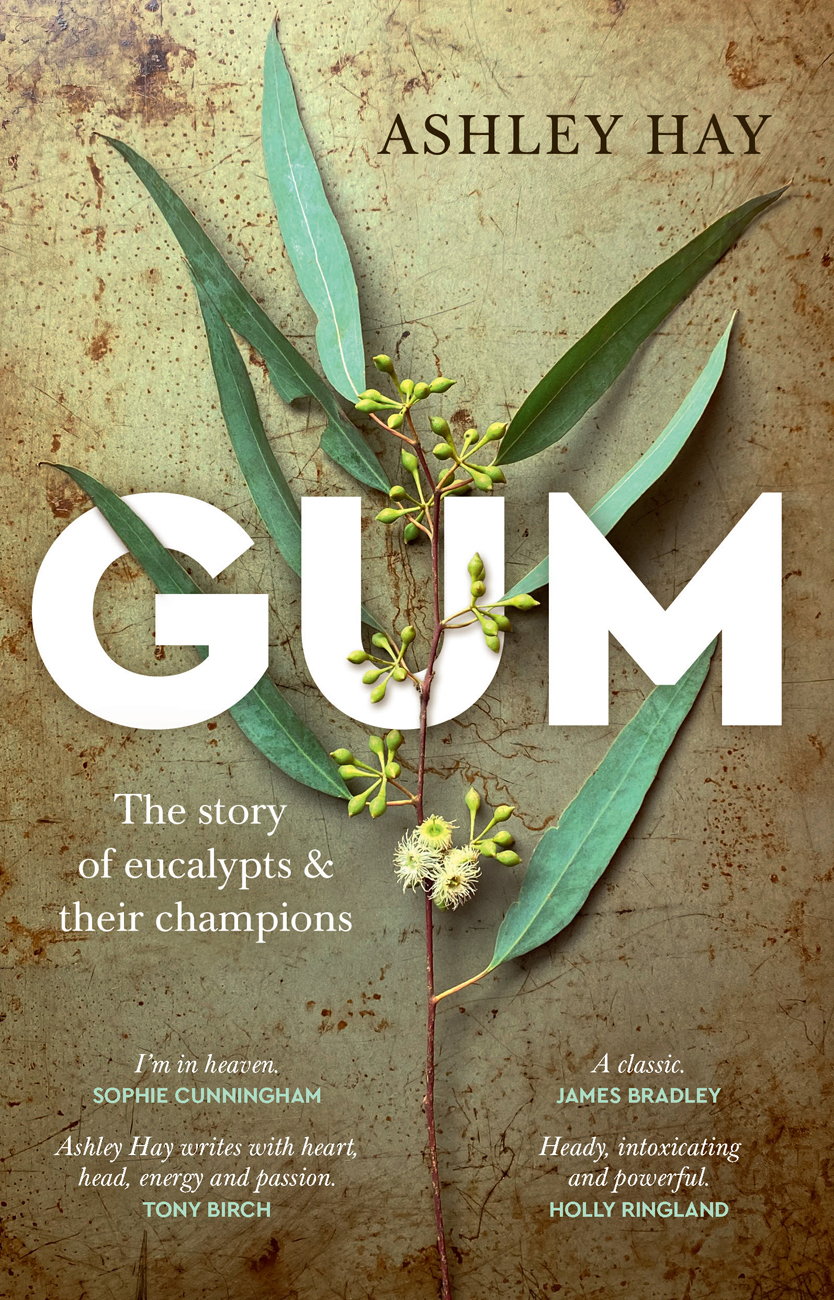 Gum The Story Of Eucalypts And Their Champions Ashley Hay