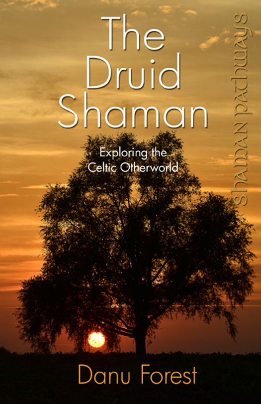 The Druid Shaman Exploring The Celtic Otherworld Danu Forest