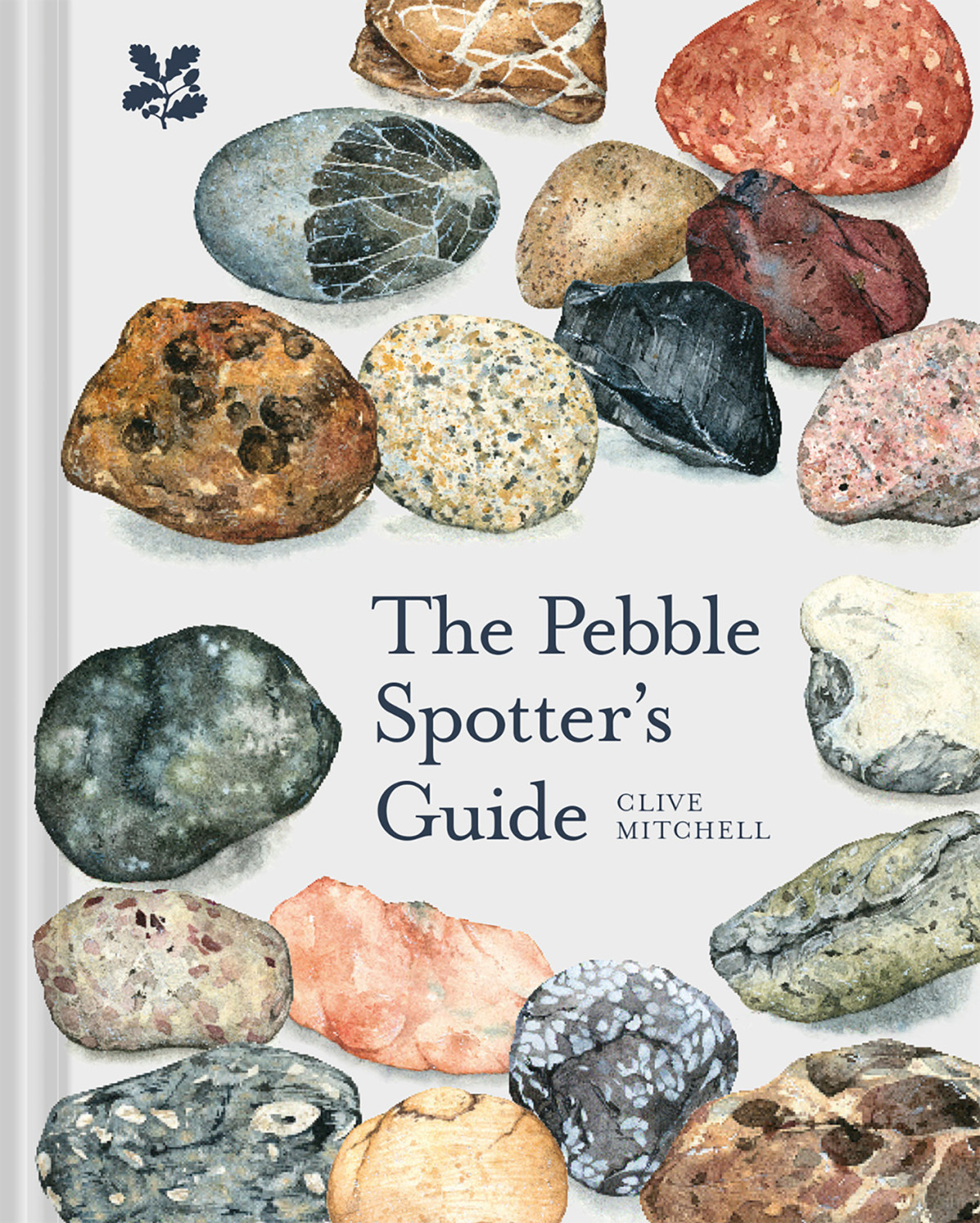 The Pebble Spotters Guide Clive Mitchell