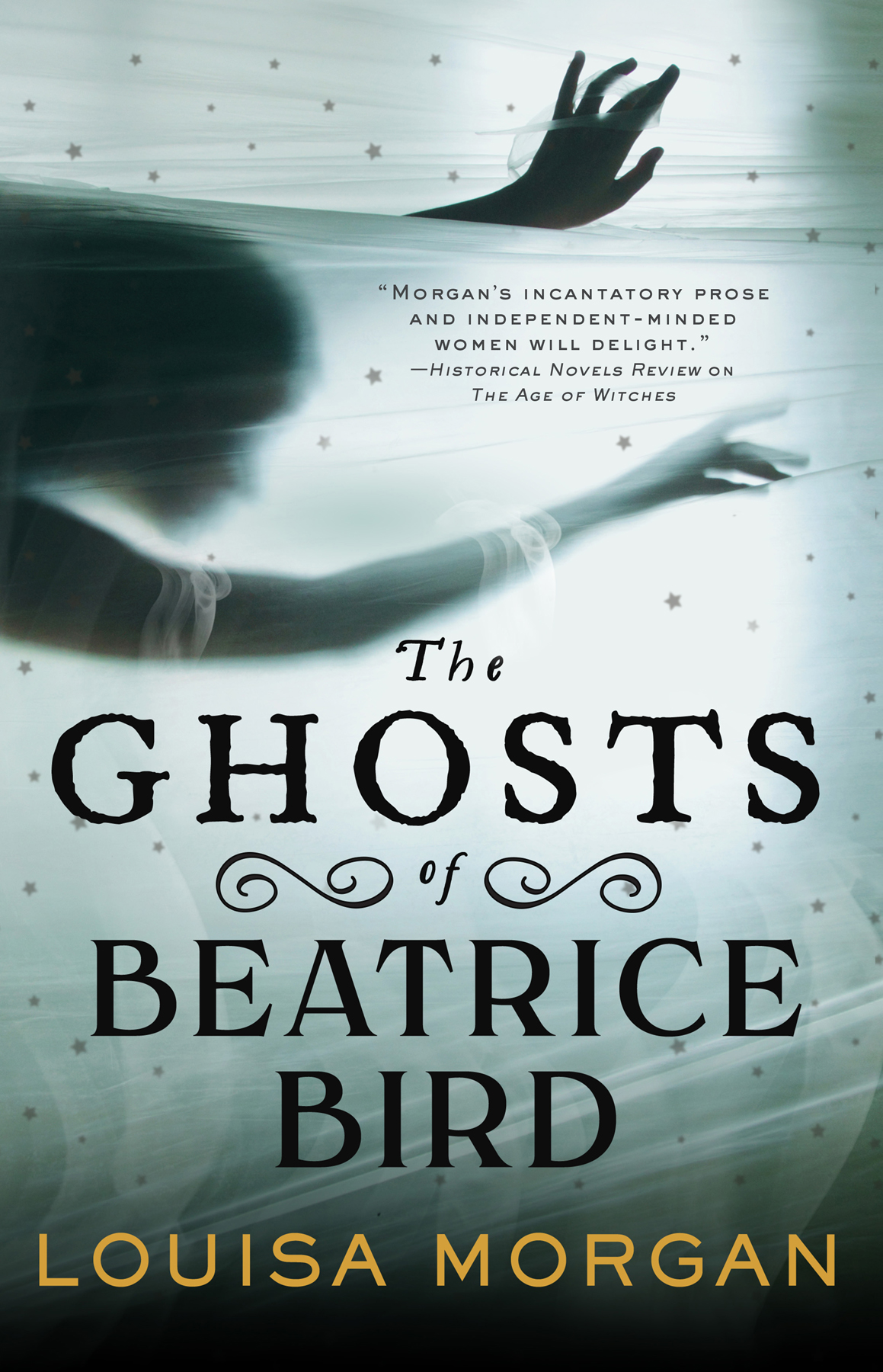 The Ghosts Of Beatrice Bird Louisa Morgan