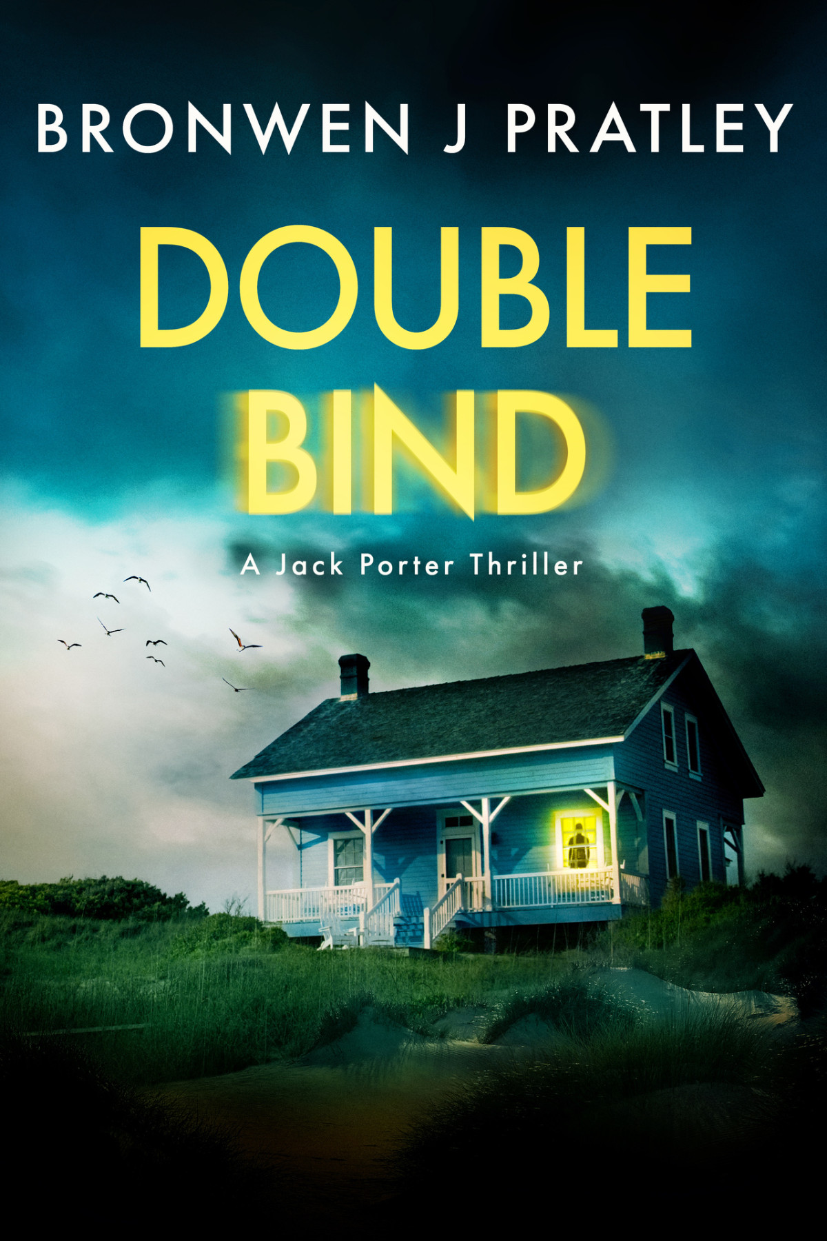 Double Bind Det Jack Porter Thrillers Book 2 Bronwen J Pratley