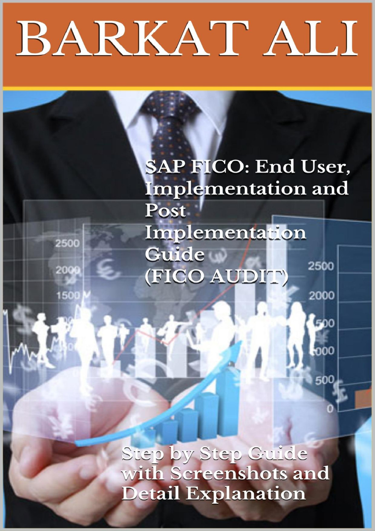 Sap Fico Barkat Ali