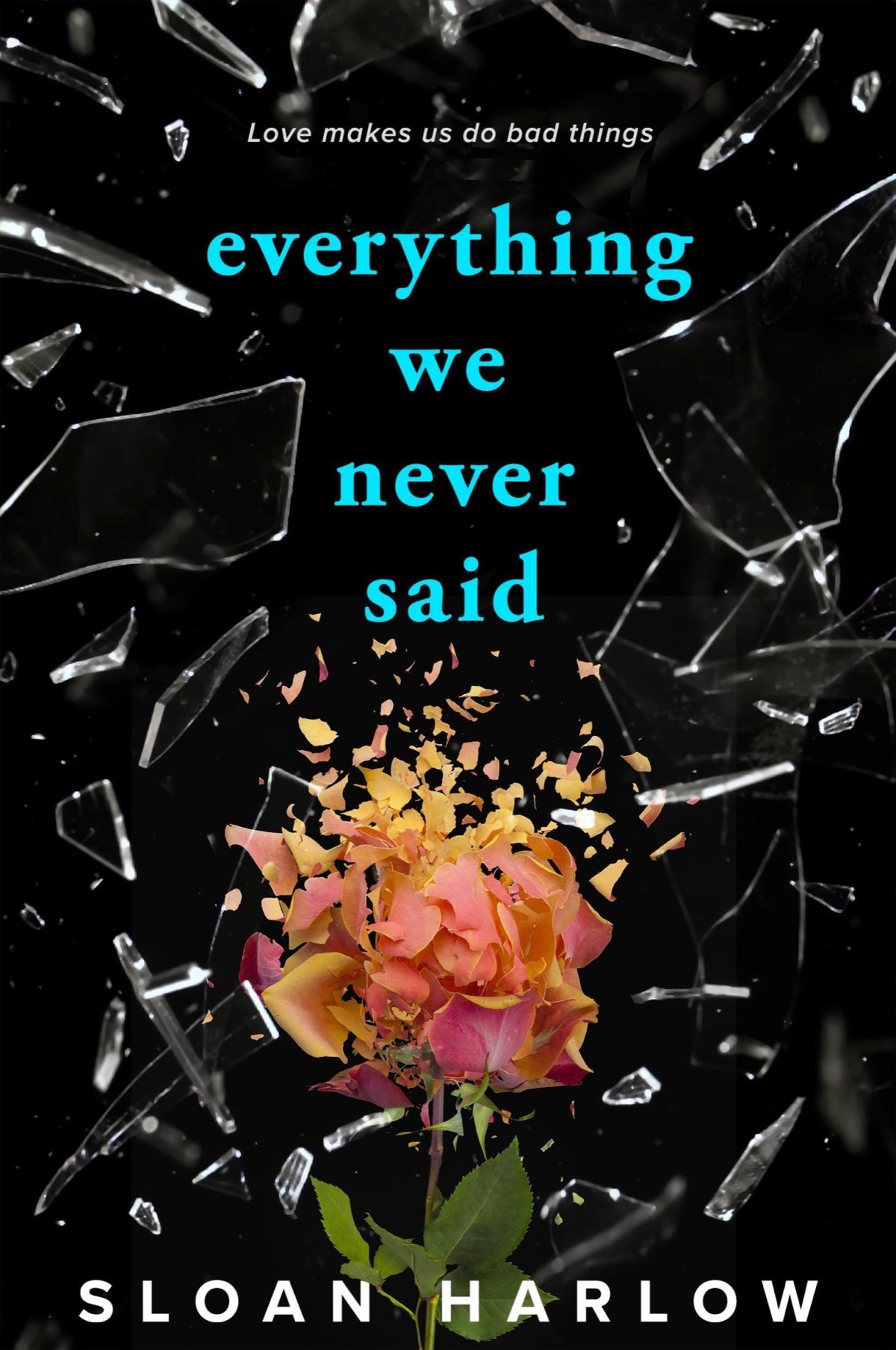 Everything We Never Said Sloan Harlow