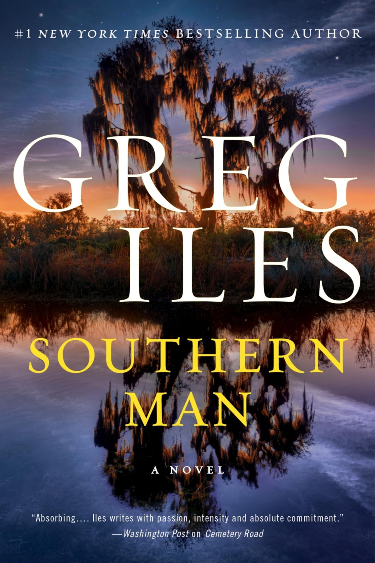 Southern Man A Novel Greg Iles