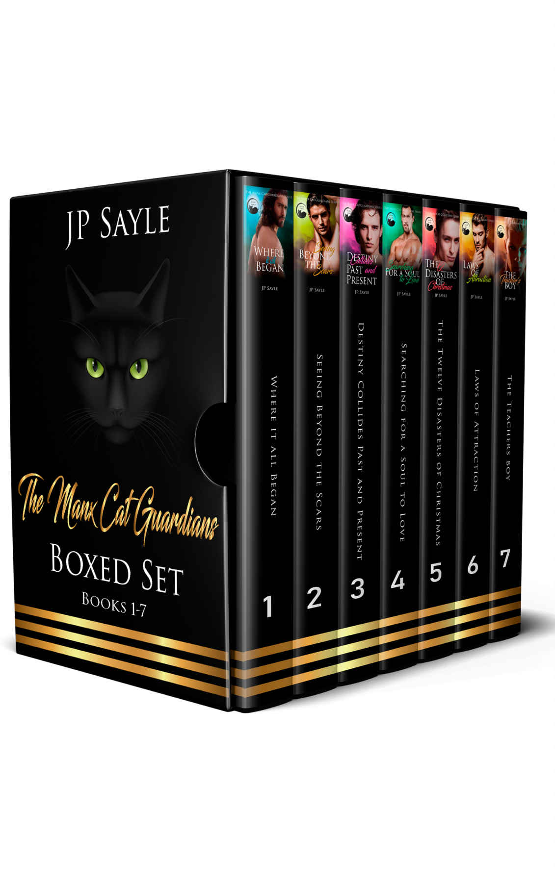 The Manx Cat Guardians Boxed Set J P Sayle