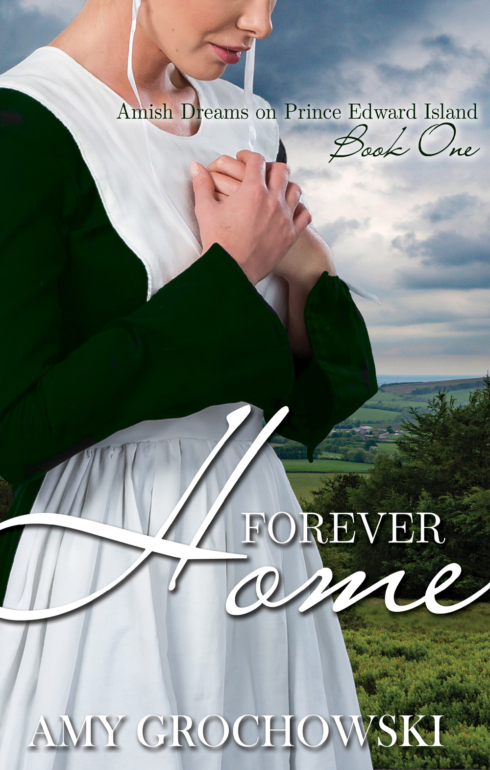Forever Home A Contemporary Amish Romance Amy Grochowski
