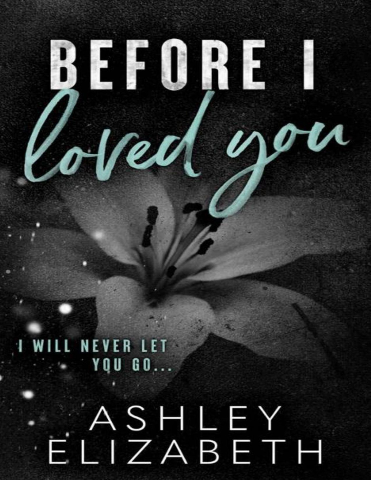 Before I Loved You Ashley Elizabeth