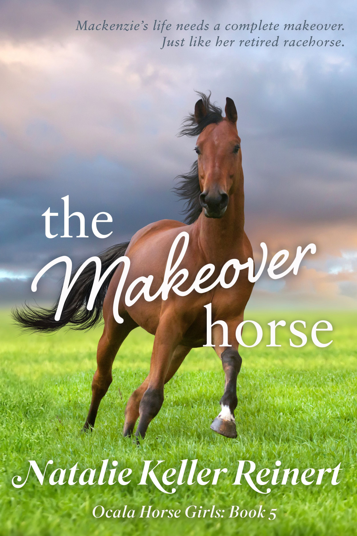 The Makeover Horse Natalie Keller Reinert