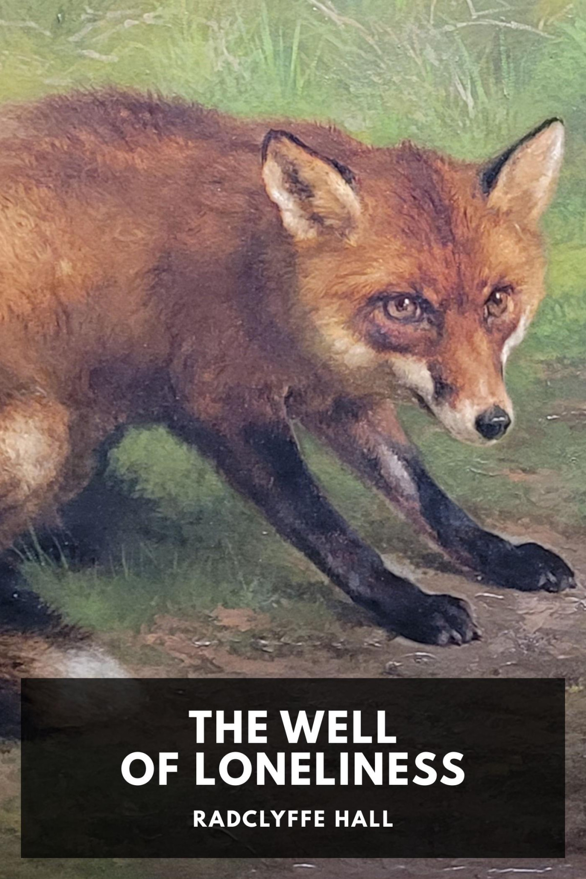 The Well Of Loneliness Radclyffe Hall