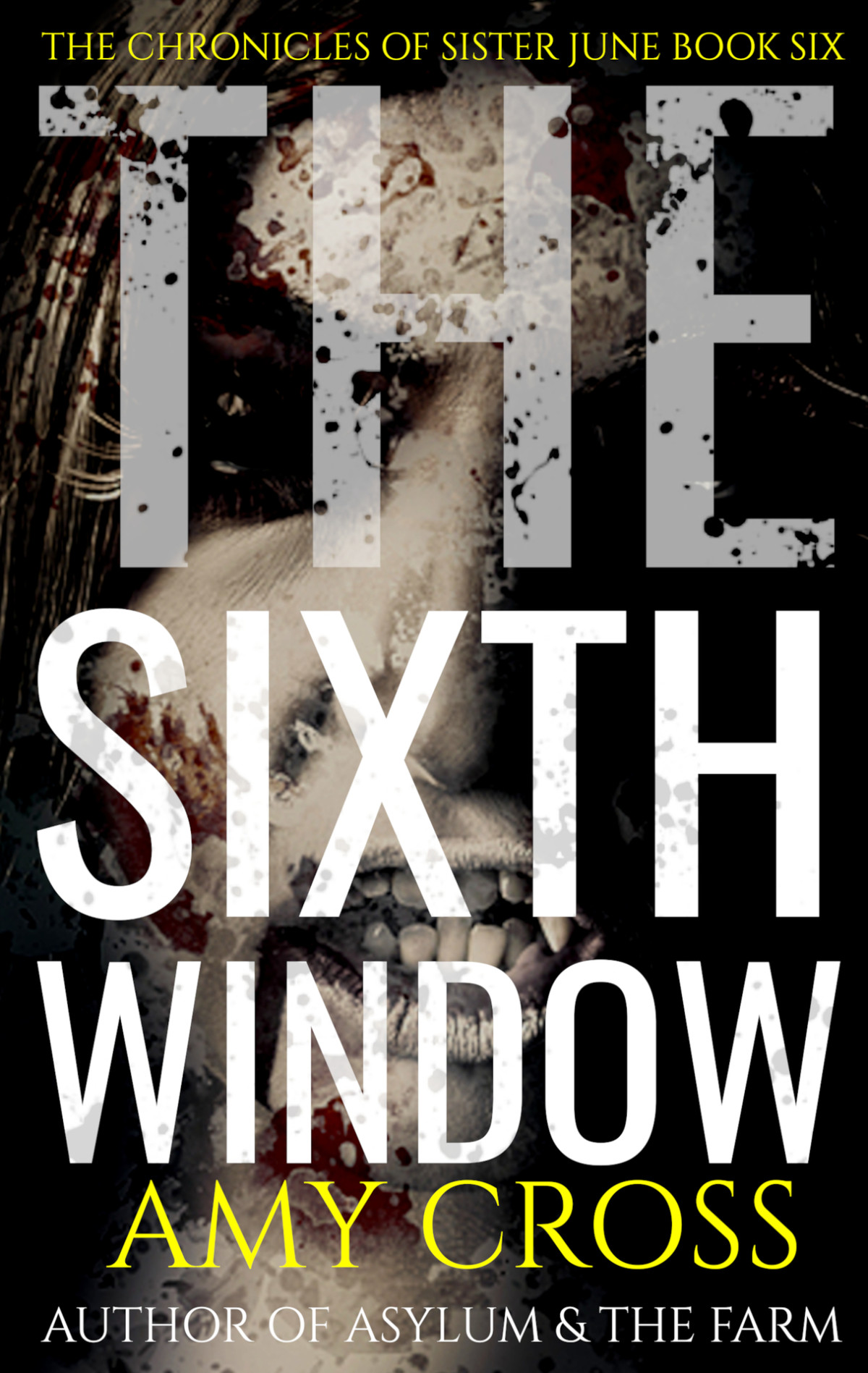 The Sixth Window The Chronicles Of Sister June Book 6 Amy Cross