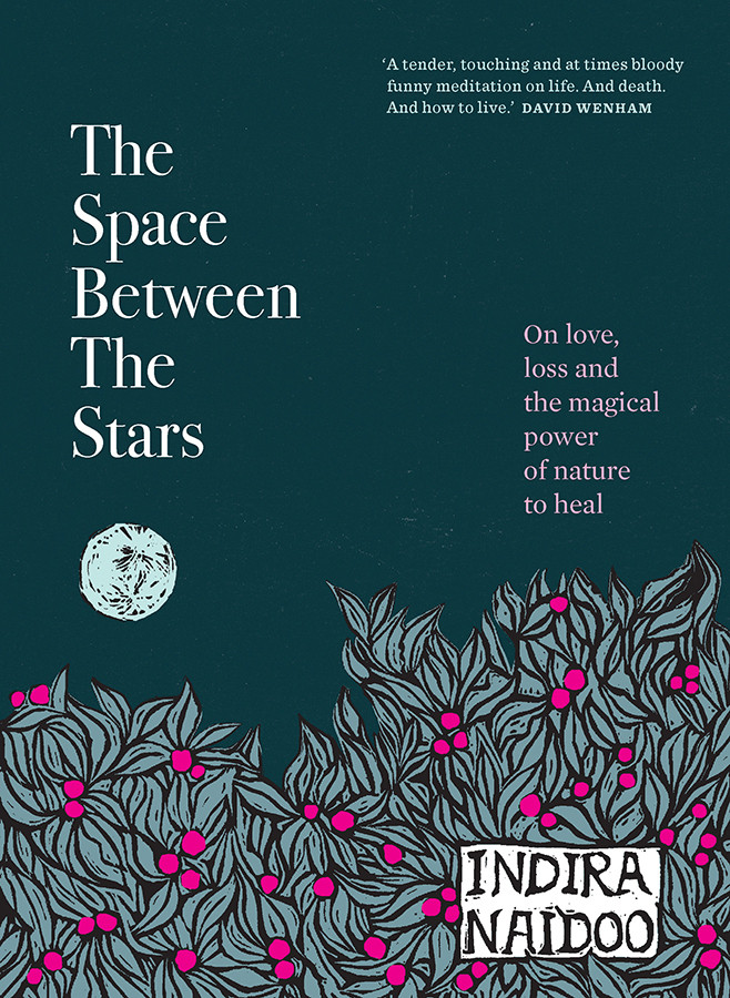 The Space Between The Stars Indira Naidoo
