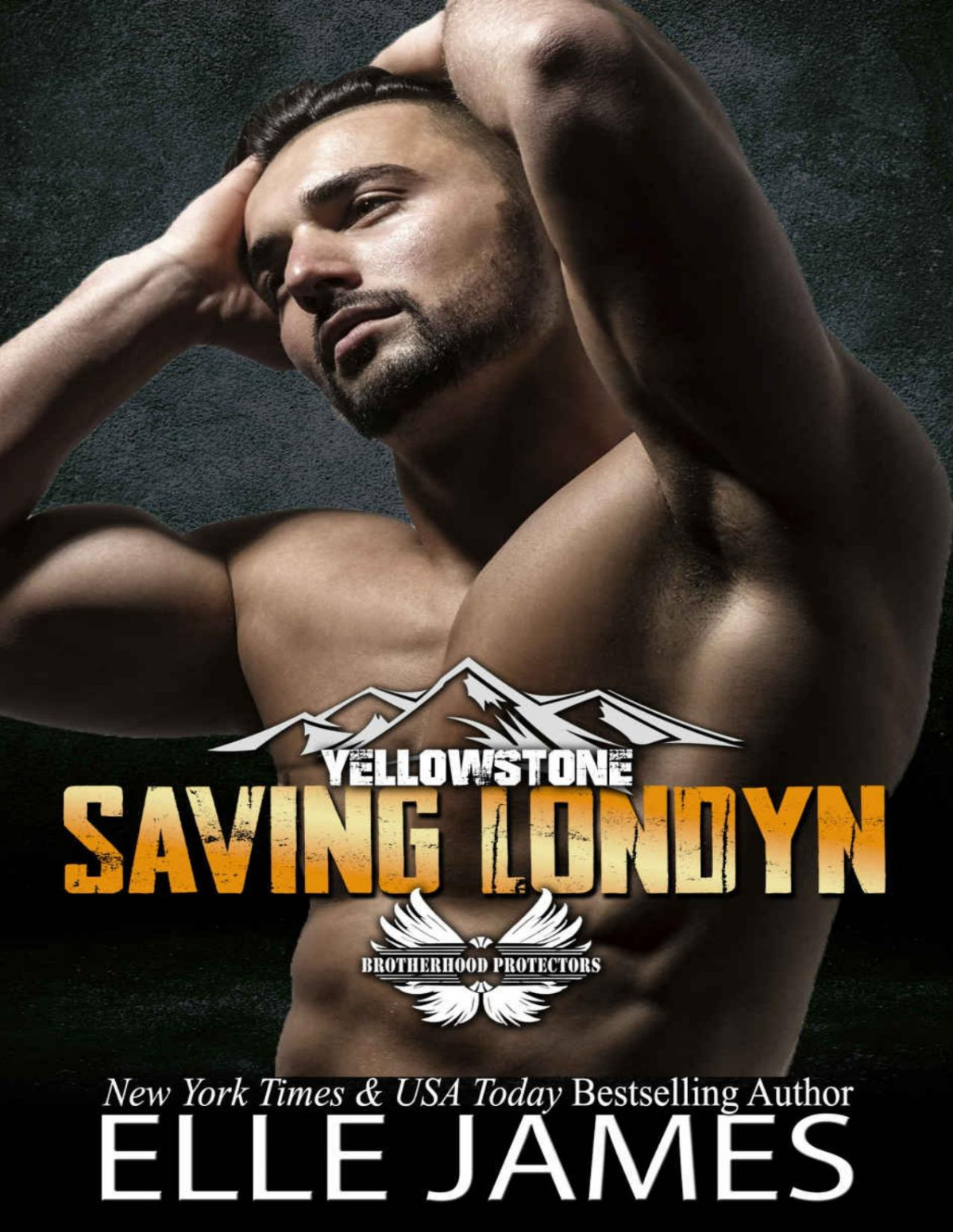 Saving Londyn Brotherhood Protectors Yellowstone Book 9 Elle James