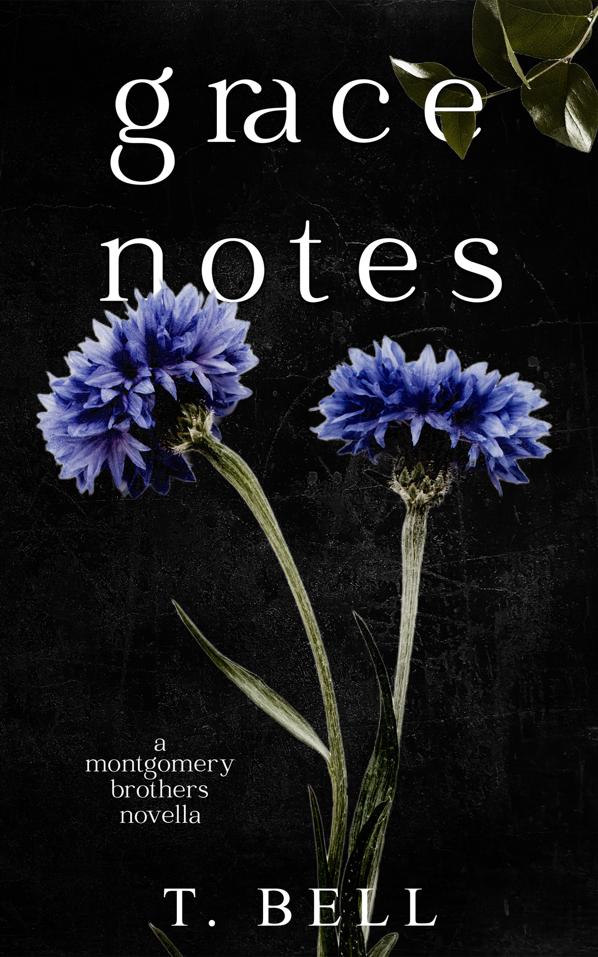 Grace Notes A Montgomery Brothers Novella T Bell