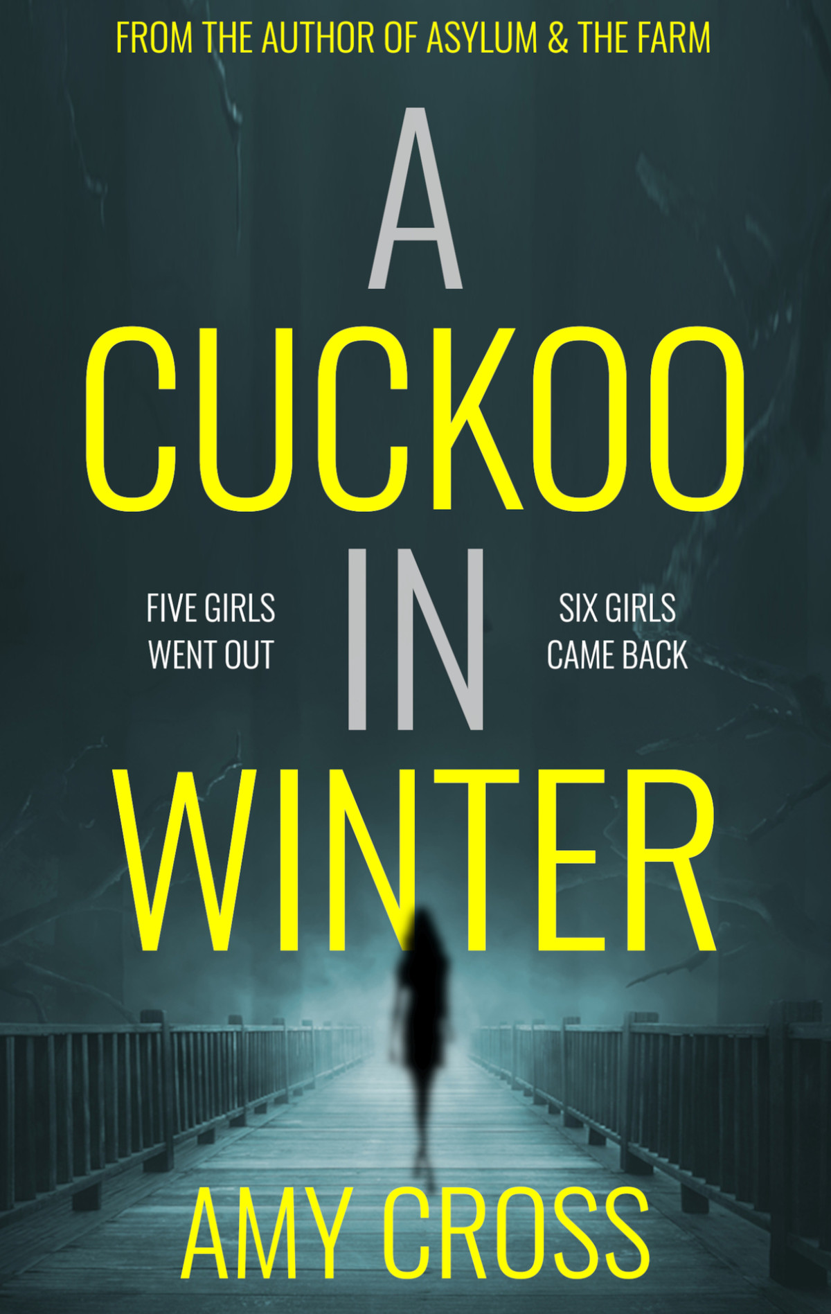 A Cuckoo In Winter Amy Cross