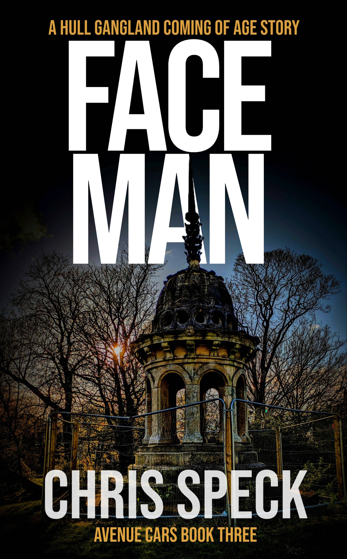 Faceman A Hull Gangland Coming Of Age Story Avenue Cars Book 3 Chris Speck