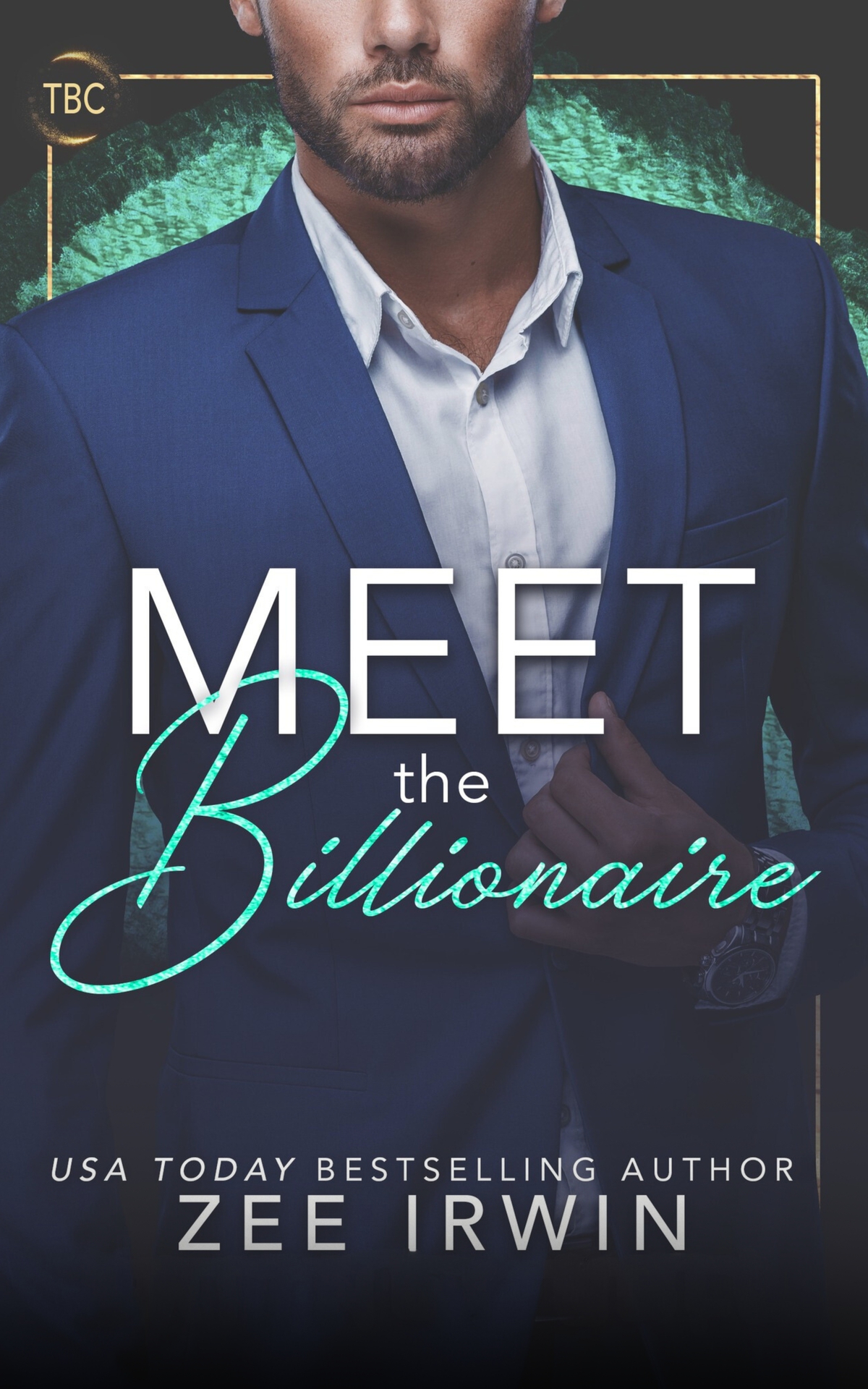 Meet The Billionaire When Buddy Met Honey Steamy Fake Marriage Romance Zee Irwin