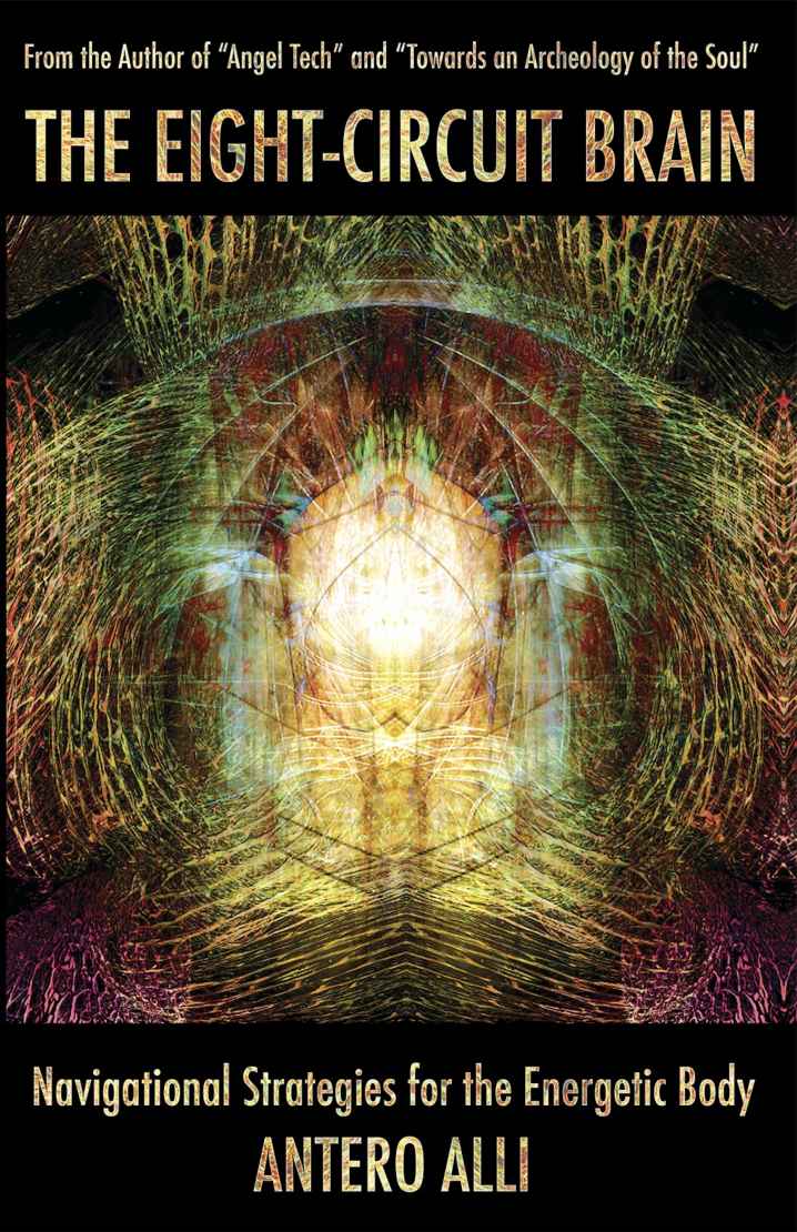The Eightcircuit Brain Navigational Strategies For The Energetic Body Antero Alli