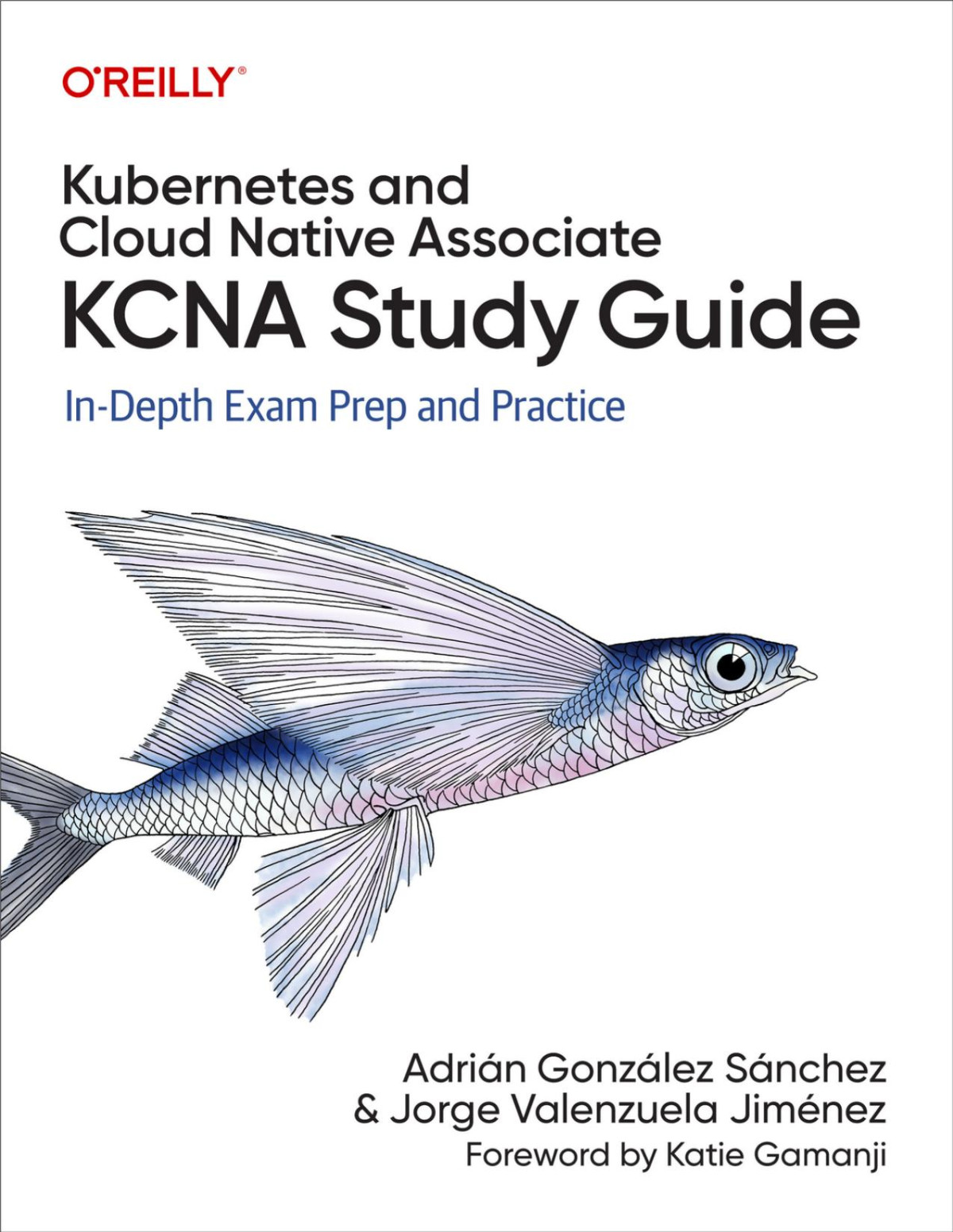Kubernetes And Cloud Native Associate Kcna Study Guide For True Epub Adrián González Sánchez Jorge Valenzuela Jiménez