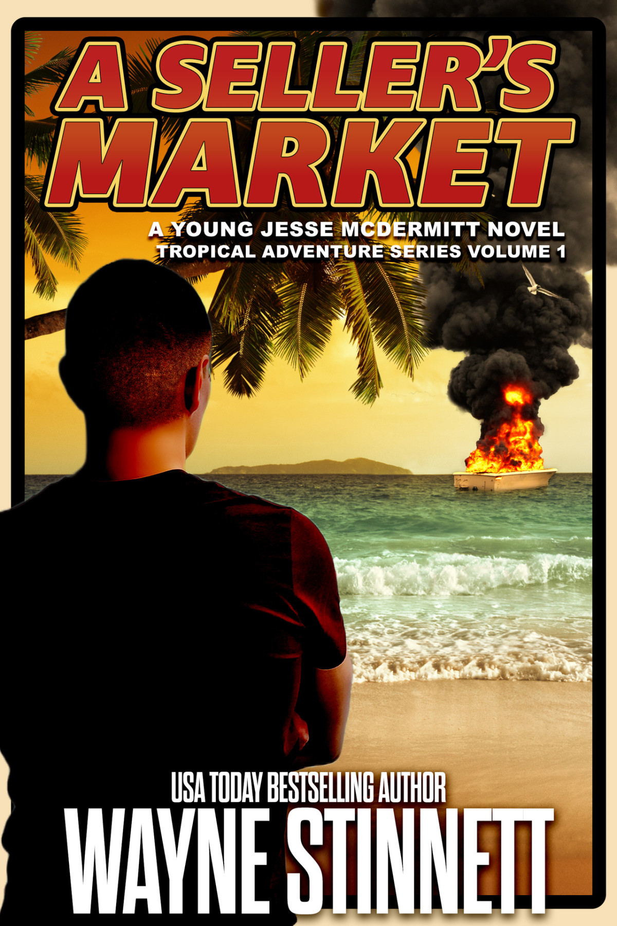 A Sellers Market A Young Jesse Mcdermitt Novel Wayne Stinnett