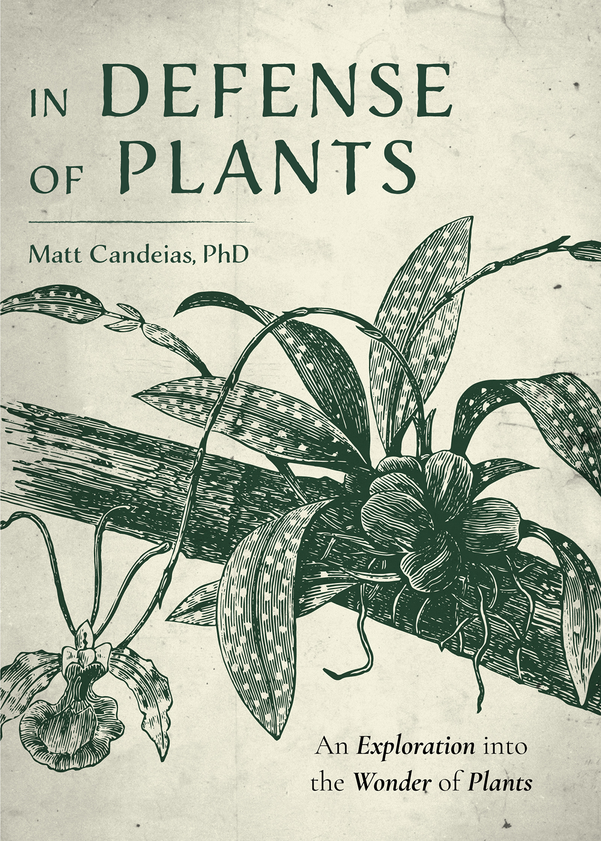 In Defense Of Plants Matt Candeias