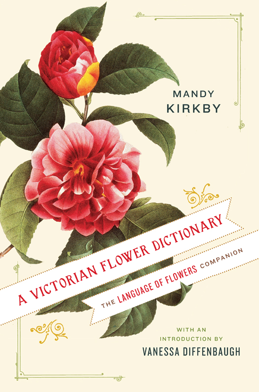 A Victorian Flower Dictionary The Language Of Flowers Companion Mandy Kirkby