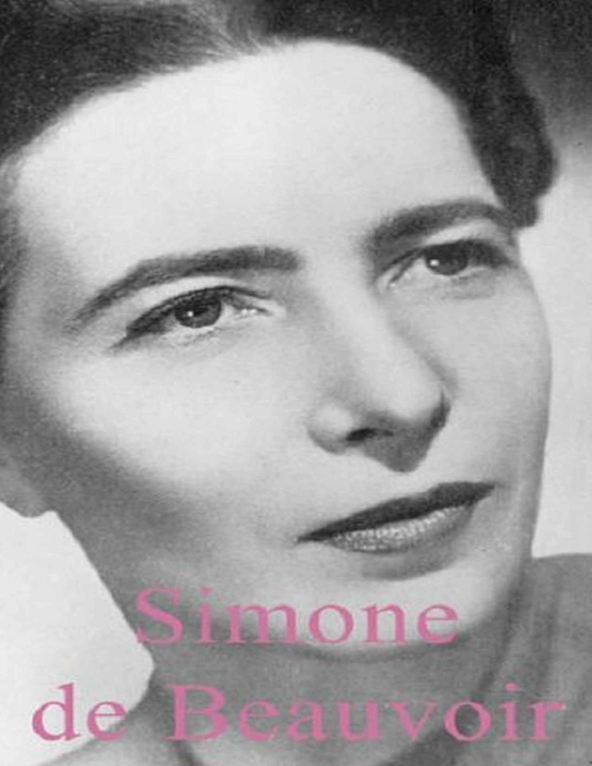 Simone De Beauvoir Life Times Lisa Appignanesi