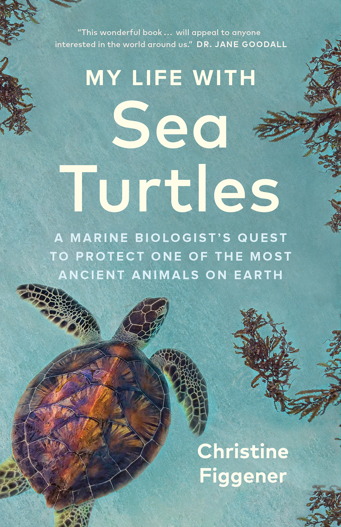 My Life With Sea Turtles A Marine Biologists Quest To Protect One Of The Most Ancient Animals On Earth Christine Figgener