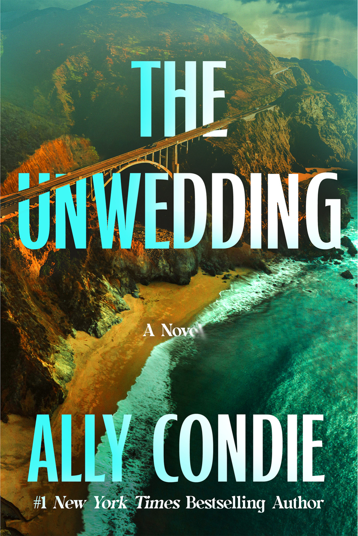 The Unwedding Ally Condie