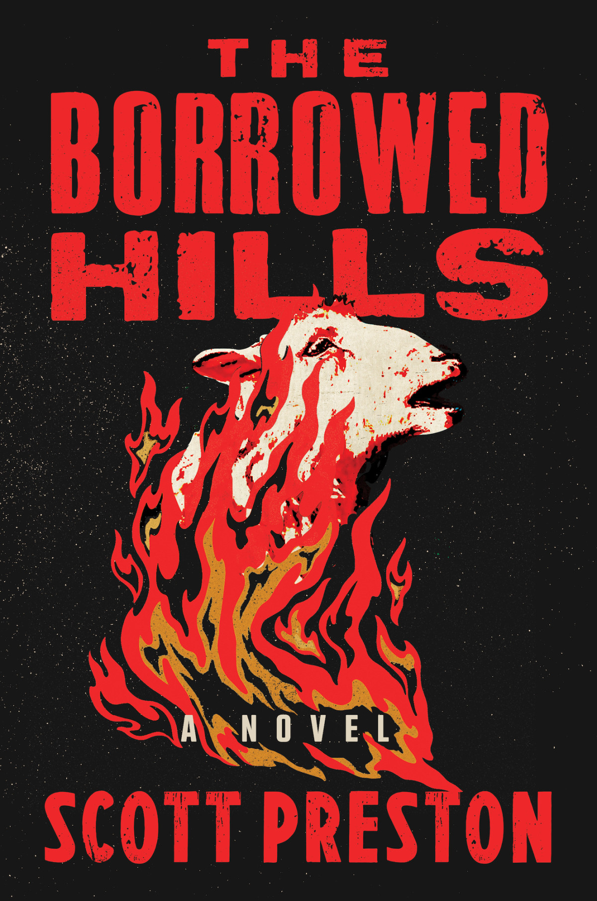 The Borrowed Hills A Novel Scott Preston