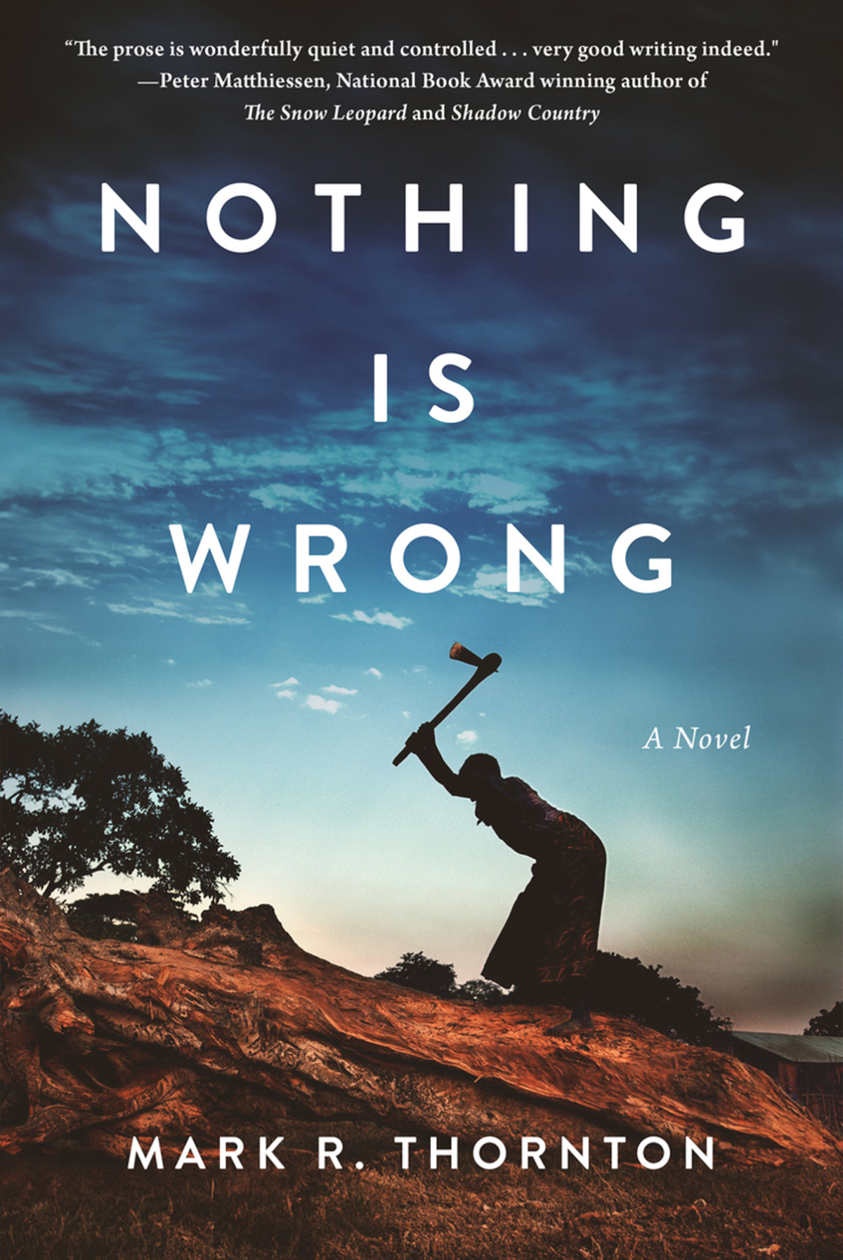 Nothing Is Wrong Mark R Thornton