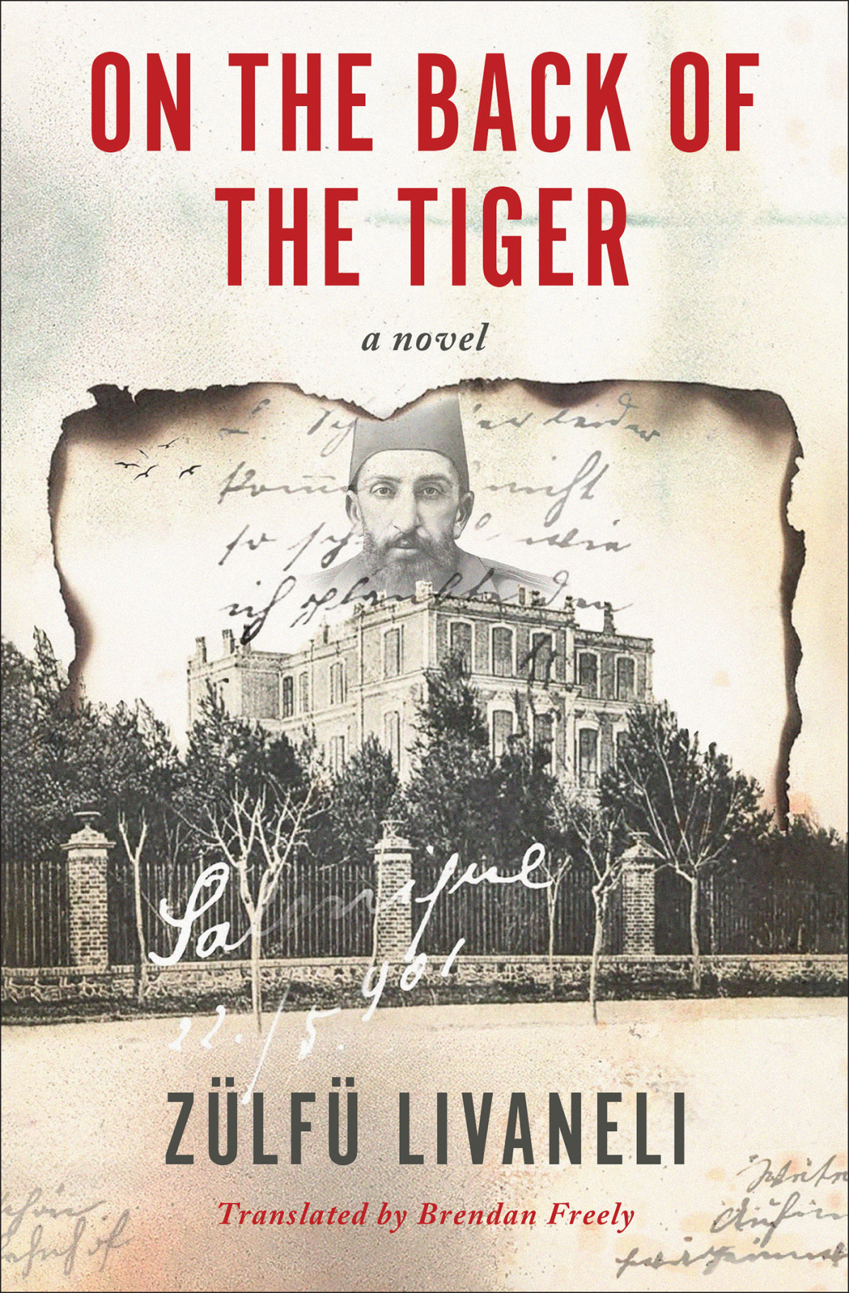 On The Back Of The Tiger A Novel Zlf Livaneli