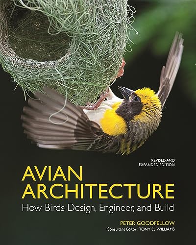 Avian Architecture Revised And Expanded Edition How Birds Design Engineer And Build Goodfellow