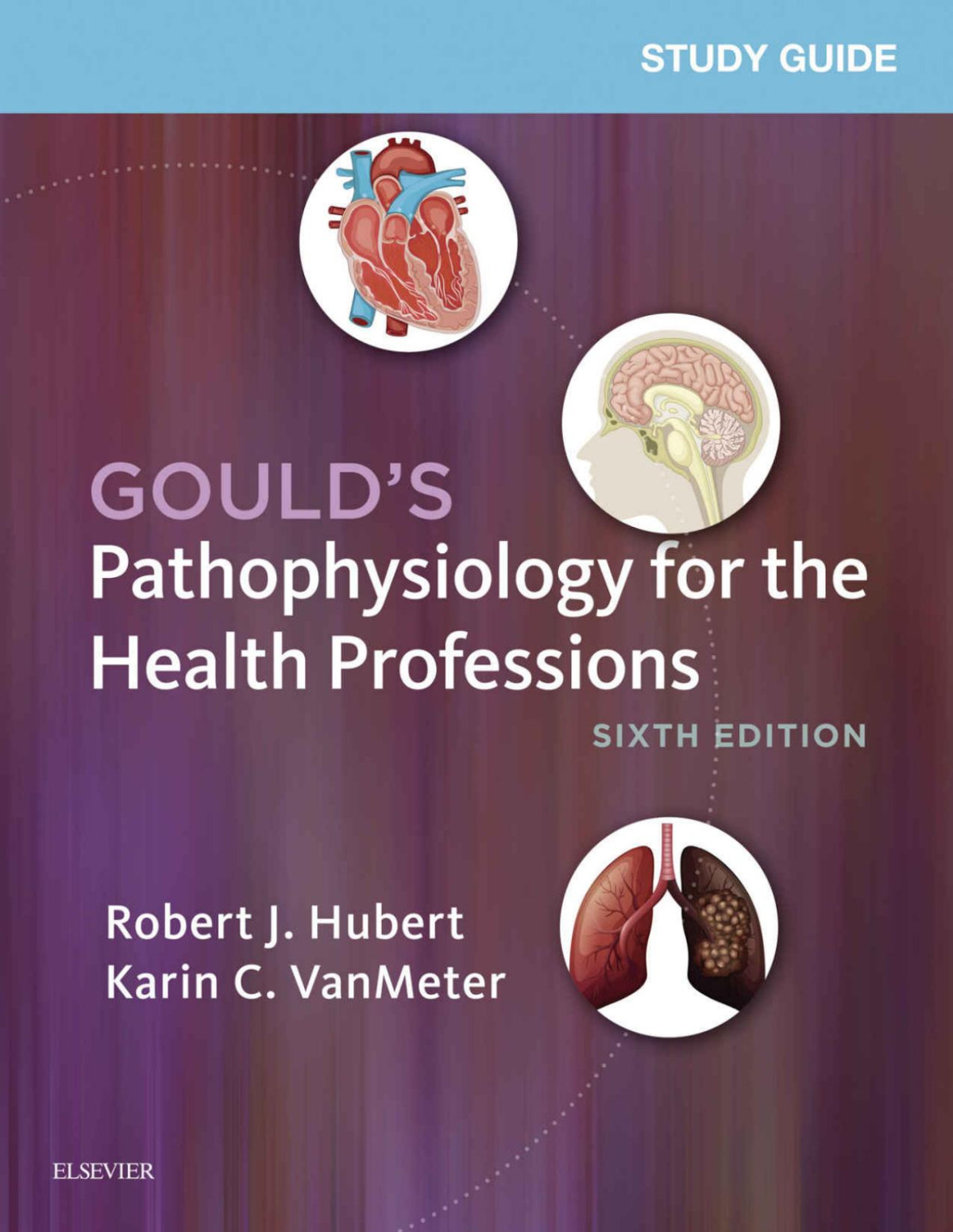 Study Guide For Goulds Pathophysiology For The Health Professions Hubert
