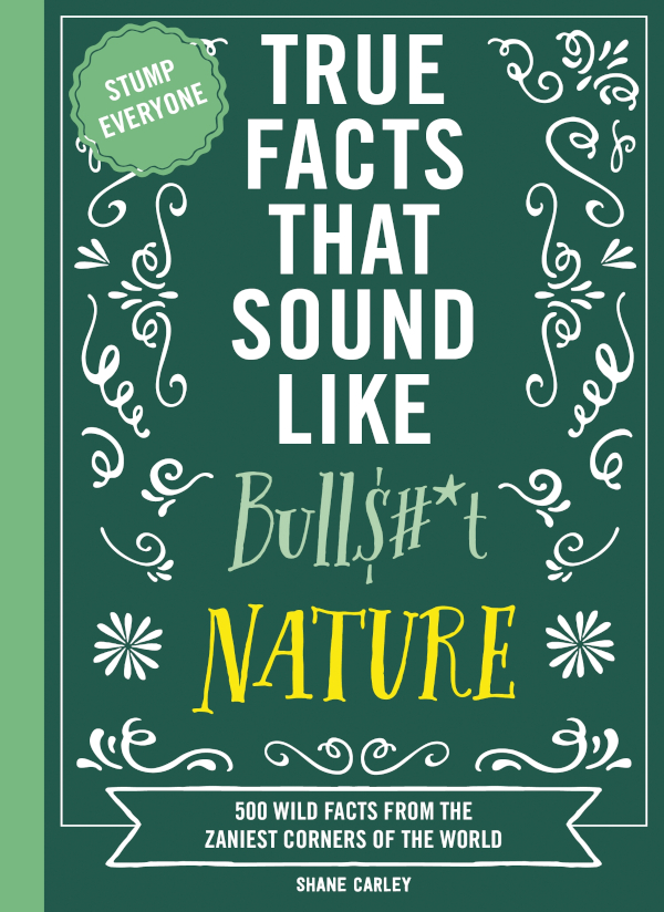 True Facts That Sound Like Bullt Shane Carley